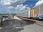 WRWK 405624